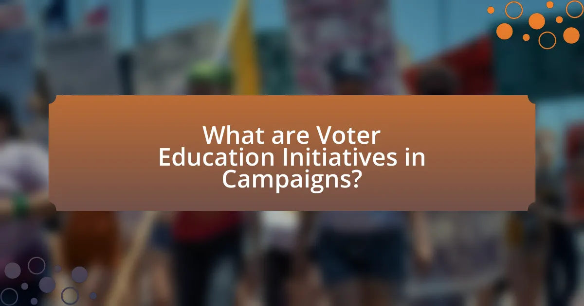 What are Voter Education Initiatives in Campaigns?